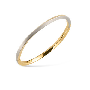 Armreif Titanium teil-goldplattiert 03011-02