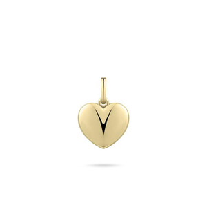 Gisser Herz-Anh�nger in Gold P1086Y