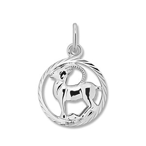 Sternzeichen Anh�nger aus Silber